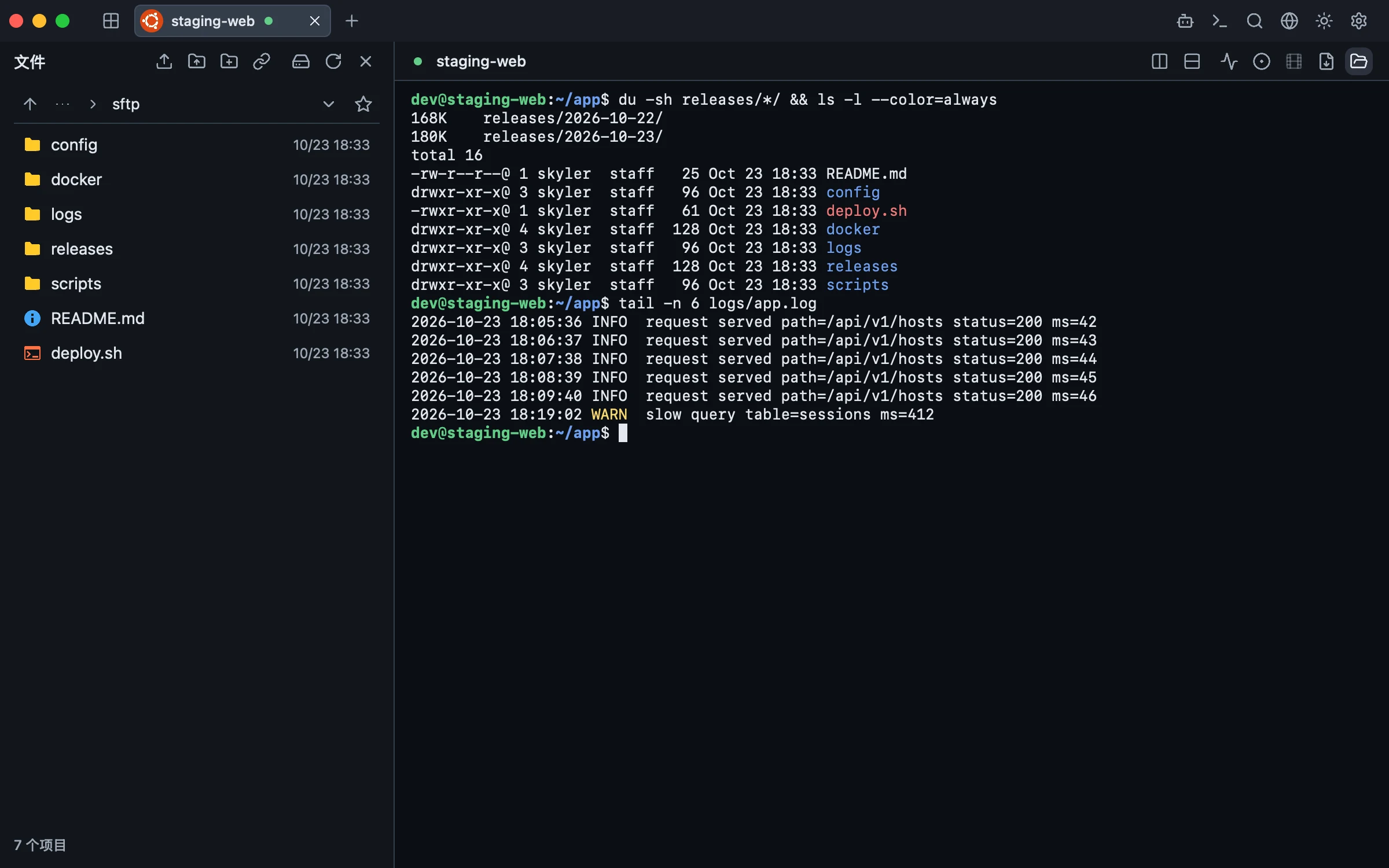 Motty 的 SFTP 面板与终端并排